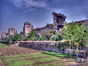 Archivo:Walls of Istanbul 06081