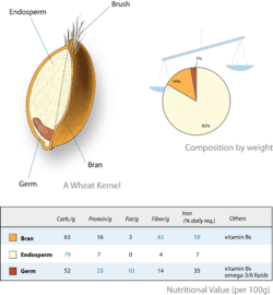 Archivo:Wheat-kernel nutrition
