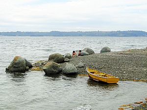 Archivo:Yellow Boat In Isla Maillen (258957047)