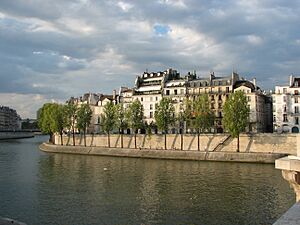 Archivo:Île Saint-Louis - Quai d'Orléans (Paris)