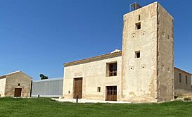 ANSALDO - SAN JUAN DE ALICANTE.jpg