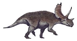 Agujaceratops life restoration.jpg