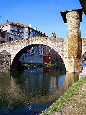 Archivo:Balmaseda - Puente Viejo 03