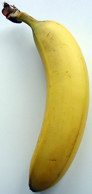 Archivo:Bananen Frucht