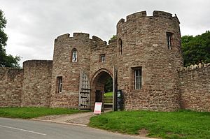 Archivo:Beeston Castle (5292)