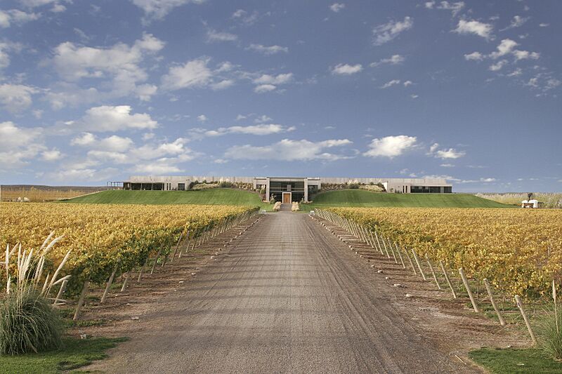Bodeganqn