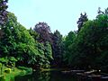 Braga-Bom Jesus(lago)