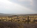 Camino a Cachi 01