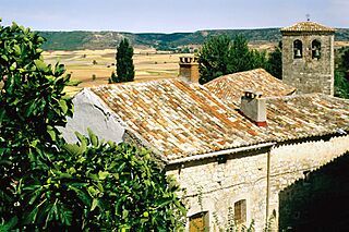Carabias (2001).jpg
