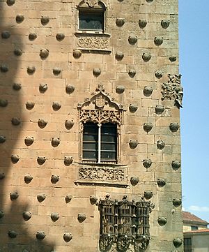 Archivo:Casa de las Conchas, Salamanca, España, 2003-08-08, DD 01