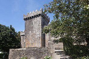 Archivo:Castelo de Vimianzo ou Torres do Martelo. Galiza -V9