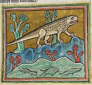 Archivo:Crocodile - British Library Royal 12 F xiii f24r (detail)
