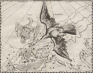 Archivo:Cygnus - Prodromus astronomiae 1690 (436045)