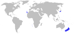 distribución de la especie (en azul)