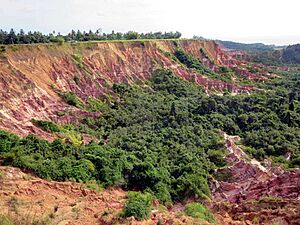 Archivo:Diosso Gorge (20196218901)