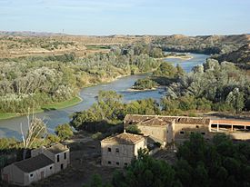Archivo:Ebro en Escatrón