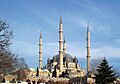 Edirne 7333 Nevit