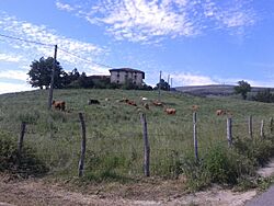 Elgeako Elizaldeko baserria.jpg