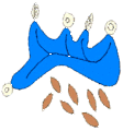 Escudo de Chapantongo