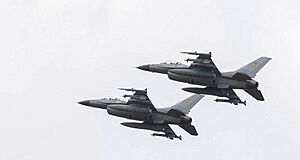 Archivo:F-16 UAF (cropped)