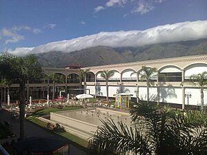 Archivo:GaleriaDelSolMerloSanLuis