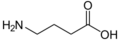 Gamma-Aminobuttersäure - gamma-aminobutyric acid