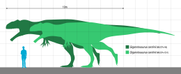 Archivo:Giganotosaurus Scale