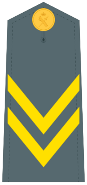Guardiacivildivi36