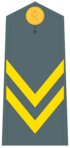 Cadete de 2º