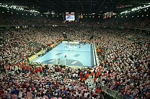 Archivo:Handball WC2009 Final