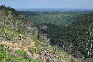 Maya Mountains, Cayo District, Belize.jpg