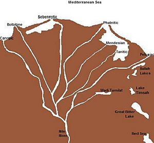 Archivo:Nile Delta Surrounding