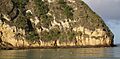 Palagonite cliffs at Moya beach (Mayotte)
