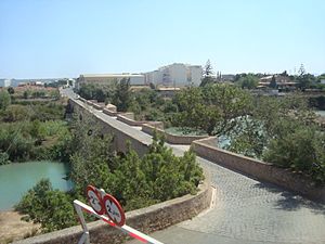 Archivo:Puente de Santa Quitéria (Almassora)