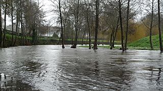 Río Asma cheo o seu paso por Chantada 2.JPG