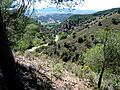 Rambla de Valdemiedes SW - Murero Zaragoza Spain