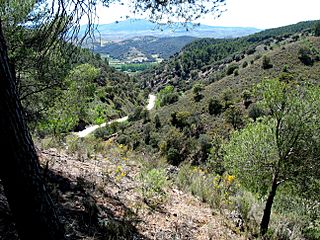 Rambla de Valdemiedes SW - Murero Zaragoza Spain.JPG