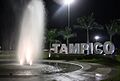 Tampico norte
