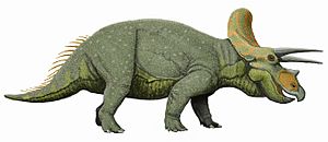 Archivo:Triceratops liveDB