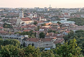Archivo:Vilnius view