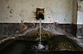 Washing place of Argecilla 02