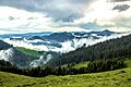 Угорські скелі після дощу