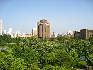 Archivo:中国科大图书馆