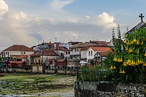 Archivo:11082012- DSC0263
