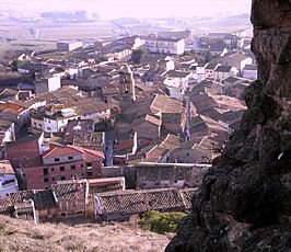 Vista de Algerri desde el castillo