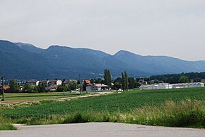 Archivo:2012-05-26-Seeland (Foto Dietrich Michael Weidmann) 004