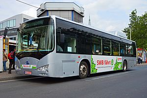 Archivo:2013 in Bonn. BYD ebus (electrical bus). Bus facing left 1. Spielvogel