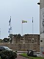 Argentina-Flag-Memorial-Lithuania