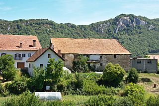 Aribe, Navarra.jpg