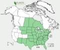 Asclepias verticillata NA-dist-map